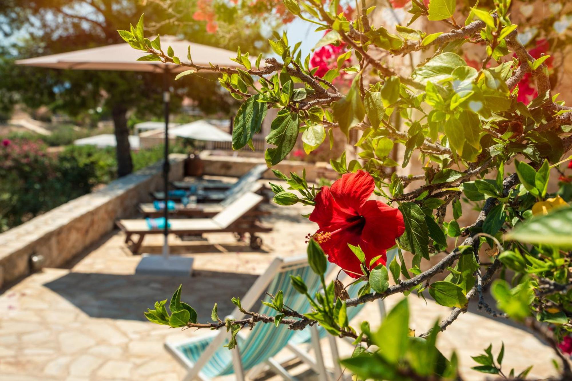 Villa Ftenagia Chalki Town Exterior photo